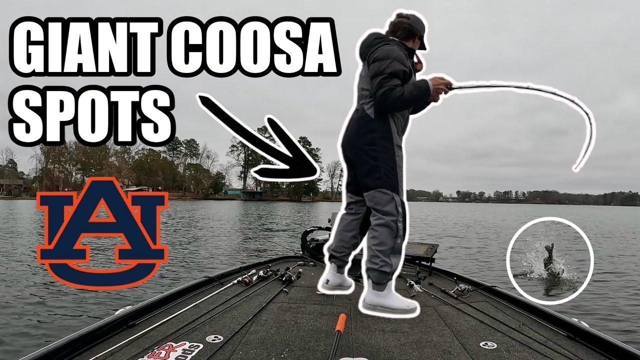 Lake Jordan College Fishing Tournament (Giant Spotted Bass) [4K]