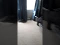 huh?
