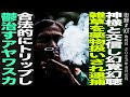 合法植物で不条理な逮捕 4ヶ月勾留/3年間に及ぶ法廷闘争.../青井硝子