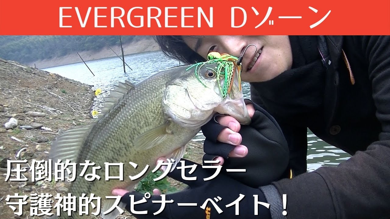 バス釣り引退セット　エバーグリーンdeps各種スピナーベイトバズベイト バス釣り引退セット エバーグリーンdeps各種スピナーベイト