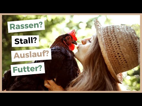 Video: Wie Hält Man Hühner