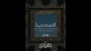 ﴿.. كُلٌّ قَد عَلِمَ صَلاتَهُ وَتَسبيحَهُ ..﴾ | القارئ: عبدالعزيز التميمي