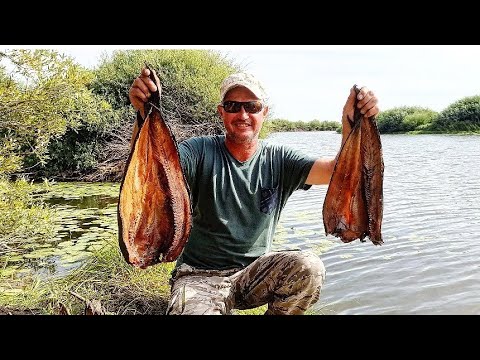 Видео: Рыбалка три в одном ,наловили ,закоптили ,замариновали.