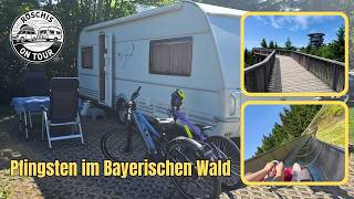 Bayerischer Wald mit dem Wohnwagen 🇩🇪 | KNAUS Campingpark Viechtach, Sommerrodelbahn & Waldwipfelweg