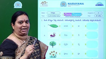 8TH JUL TS FL TELUGU IV ASSIGNMENT VIDEO