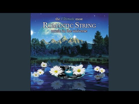 Concerto No. 4 in F Minor, RV 297 "L'inverno": II. Largo