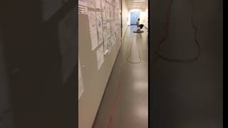 Hover Board