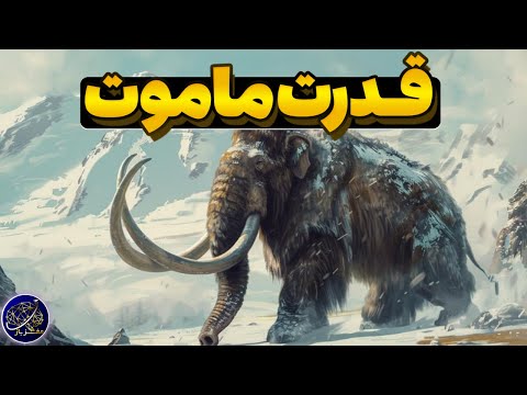 مقایسه قدرت ماموت و فیل های امروزی آیا فیلی وجود دارد که از ماموت ها قوی تر باشد