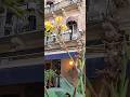 What Was I Made For | An amazing Jerusalem|Israel| Suby babyz