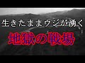 ［ゆっくり解説］インパールと白骨街道