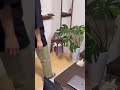 【配線??気にしてるか!】意外と部屋スッキリしますよ笑 #shorts #一人暮らし #インテリア