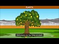 Understanding Plants
