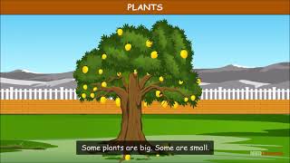 Abdul in the Garden | Types of Plants | EVS | Class 4 screenshot 4