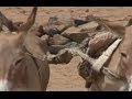 'Change air' Africa climate control