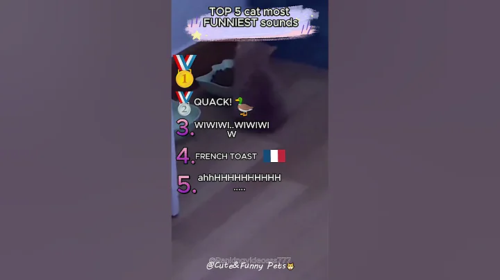 Video 9474341: sounds cats funniest, cat sound funny