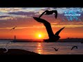 RJ Hernandez - Daybreak (Extended Mix) [Aural Sonic]