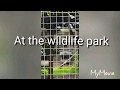 The Wildlife Park