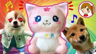 マジマジョピュアーズ！おせわだいすきおしゃべりモコニャン　開封　アンパンマン　おもちゃ　アニメ　犬　わんわん