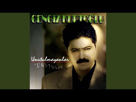 Yalnızım