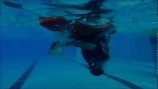 roll1.wmv