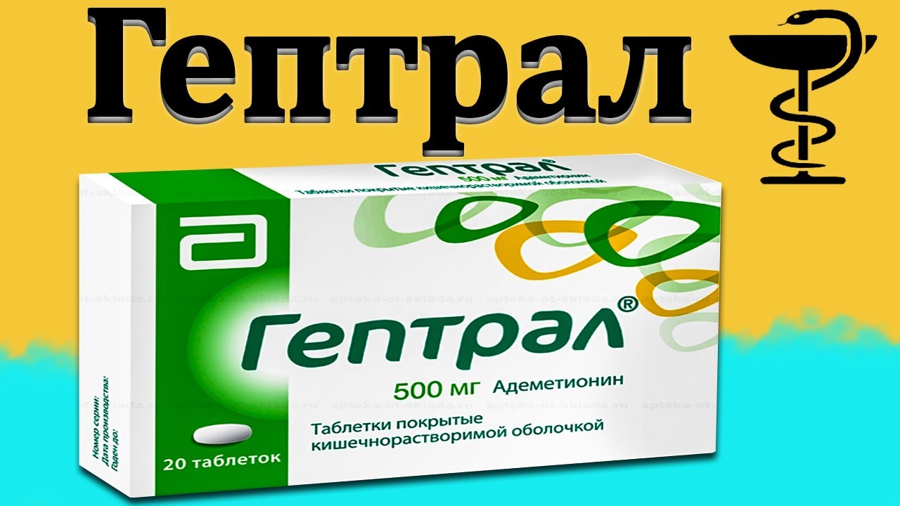 Гептрал 500 Мг Уколы