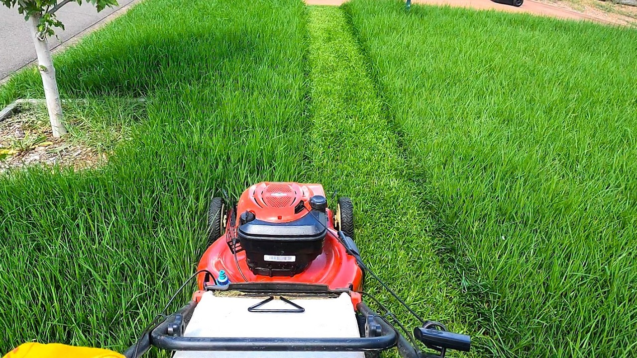 POV Lawn Mowing – Cutting Through 12" of the Longest Overgrown Grass with My TORO 🍃