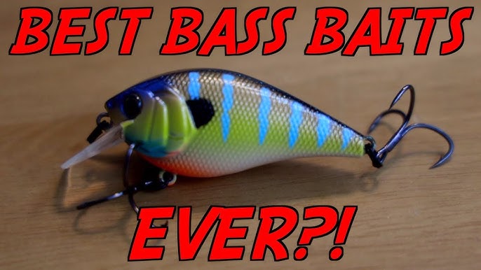Tested and Approved  5 BEST Bass Lures to Use from the Shore