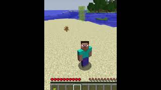 Poner Skin 1.12.2 Forge. Para Mundo Lan(Hamachi, Alternos)2026
