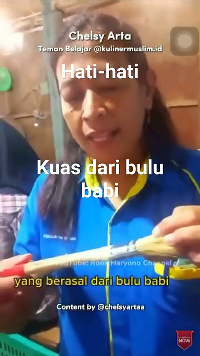kuas dari bulu babi