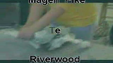 Artists-in-the-S...  at Riverwood Middle
