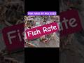 Fish rate, Visit fish market. #seafood #fish #food #crab #visit