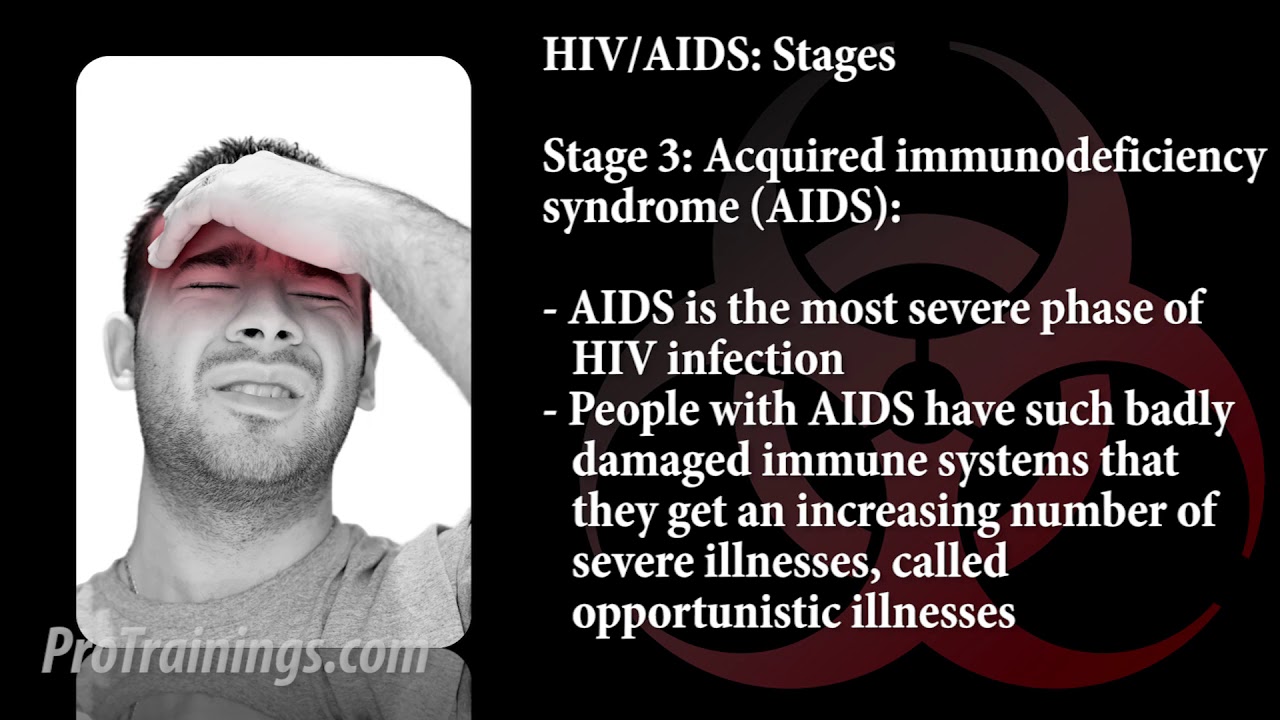 Hiv And Aids Stages Training Video Probloodborne