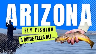 Fly Fishing in Arizona: Top Spots, Where Big Fish Are &amp; More
