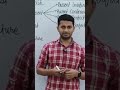 Bollywood music #education #education #viral #shorts #reels