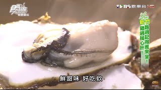 【新竹】蚵舉壯元海鮮大口吃巨無霸大生蠔食尚玩家20160412