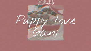 Puppy love [ lyrics ] — Gani