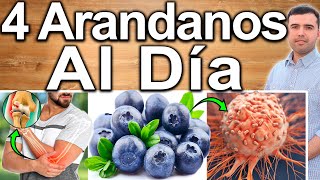4 BLUEBERRIES A DAY - What Are Blueberries Good For? - Benefits for Your Health