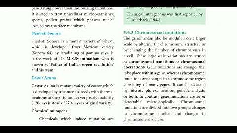 12 std Bio Botany ln-3 Chromosomal basis of inheritance (Chemical mutagens)