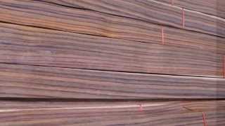Sonokeling Veneer