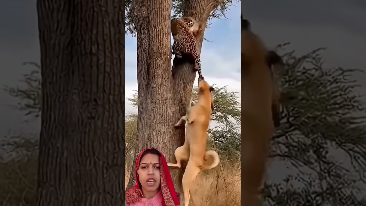 #hindiganabhojpuriganakaiselikhe