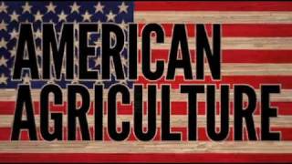 History of Chicago and the Meatpacking Industry