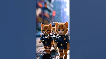 عارف شارع الحلوين 