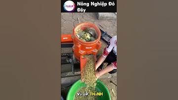Cỗ máy biến rau cá thành viên cám siêu tốc #shortvideo #farming #nongdan #nongnghiep