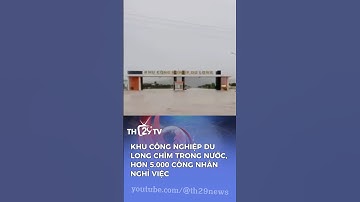 🚨 KHẨN CẤP: KCN Du Long KHÁNH HÒA Chìm Trong Nước Lũ Gần 1 Mét, Hơn 5.000 Công Nhân Nghỉ Việc!