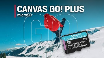 Class 10 microSD Card - V30, U3, A2 - Canvas Go! Plus microSD - Kingston Technology