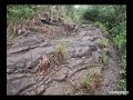 Hike up nounou mountain sleeping giant  kauai hawaii