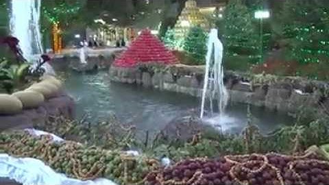 سورة الأعلى بصوت حجازي للقارئ ماساجو سيسي.