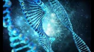 Код жизни.  Что такое ДНК и как она влияет на жизнь человека
