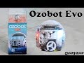 Ozobot Evo - Fun Program and Coding Robots for Kids