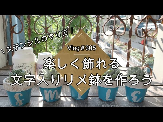 Vlog 305] [Succulents] Let's make a fun decorative remade pot with